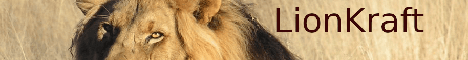Lionkraft Minecraft server banner