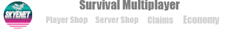 SKYEnet.live Minecraft server banner