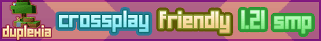 Duplexia Minecraft server banner