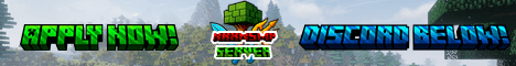 NarnSMP Minecraft server banner