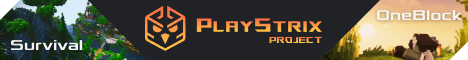 PlayStrix OneBlock Minecraft server banner