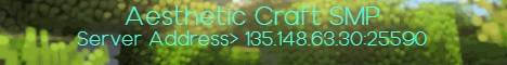 Aesthetic Craft SMP Minecraft server banner