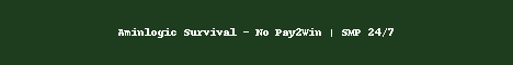 Aminlogic Survival Minecraft server banner
