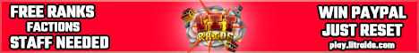 LitRaids Minecraft server banner