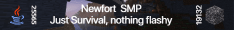 Newfort SMP Minecraft server banner
