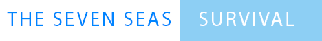 The Seven Seas Minecraft server banner