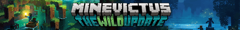 Minevictus Minecraft server banner