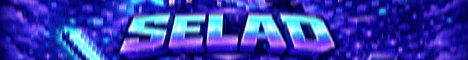 SELAD Minecraft server banner