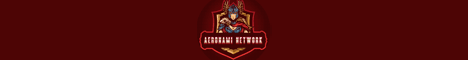 Aeronami Network Minecraft server banner