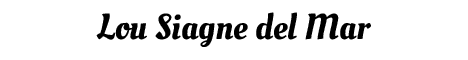 siagne.net [France] Minecraft server banner
