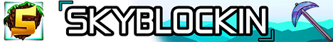 Skyblockin Minecraft server banner