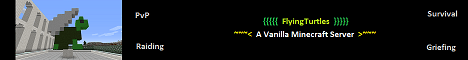 Flying Turtles Minecraft server banner