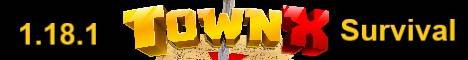 TownX Minecraft server banner