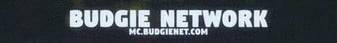 BudgieNet Minecraft server banner