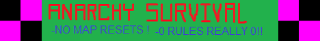 The 10 Year Project Minecraft server banner