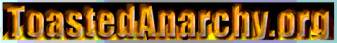 ToastedAnarchy Minecraft server banner