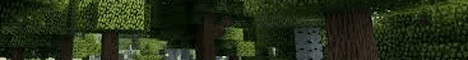wildmc Minecraft server banner