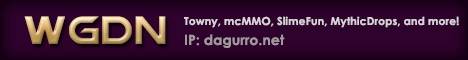 WGDN Towny Minecraft server banner