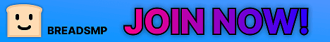 Breadsmp Minecraft server banner