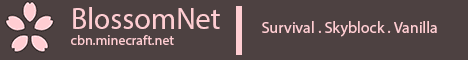 BlossomNet Minecraft server banner
