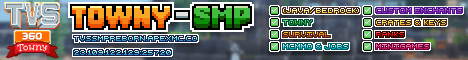 TVS 360 Minecraft server banner