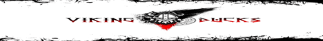 VikingLand Minecraft server banner