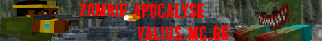 Valius Minecraft server banner
