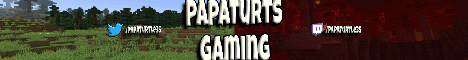 TurtleWorldSMP S2 Minecraft server banner