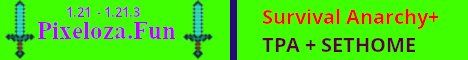 Pixeloza Minecraft server banner