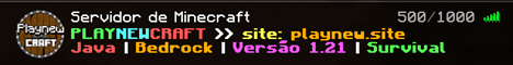 PlayNewCraft Minecraft server banner