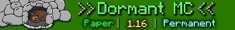 DormantMC Minecraft server banner