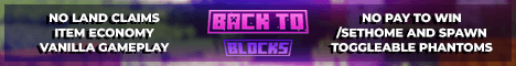 Back To Blocks Minecraft server banner