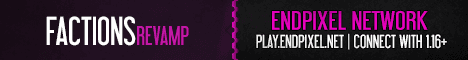 Endpixel Network Minecraft server banner