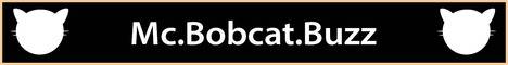 BobCat Minecraft server banner