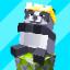 Jungle SMP server icon