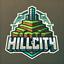 HillCity SMP server icon