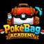 Pokebag server icon