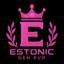 Estonic server icon