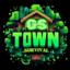 GS Town Survival server icon