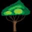 CedarCraft server icon