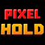 Pixel Hold server icon