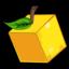 CitrusSMP server icon