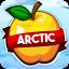 ArcticMC (NA) server icon