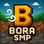 Bora SMP server icon