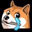 DogeCraft server icon