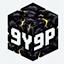 9Y9P server icon