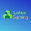 Lotus Network server icon