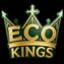 EcoKings server icon