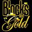 BlocksAndGold server icon