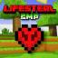 Lifesteal SMP server icon